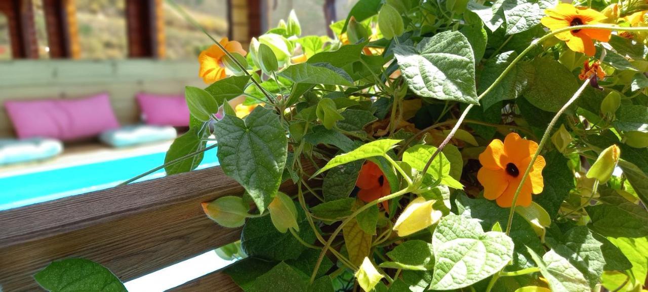 Finca Mariposa Mariposaholidays Nerja Luaran gambar