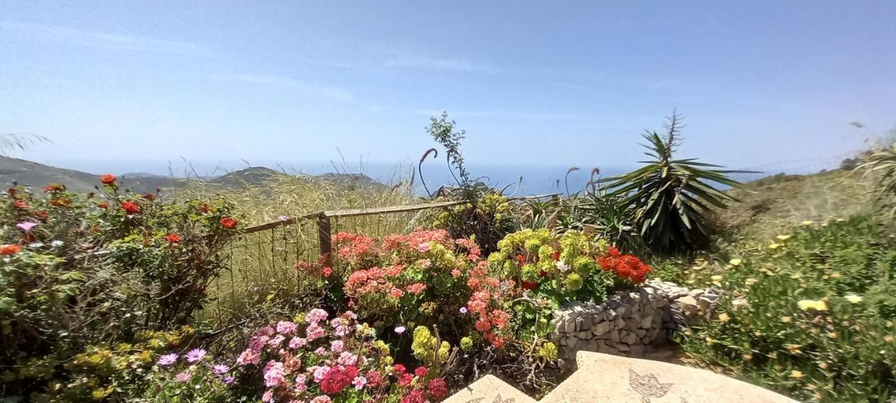 Finca Mariposa Mariposaholidays Nerja Luaran gambar