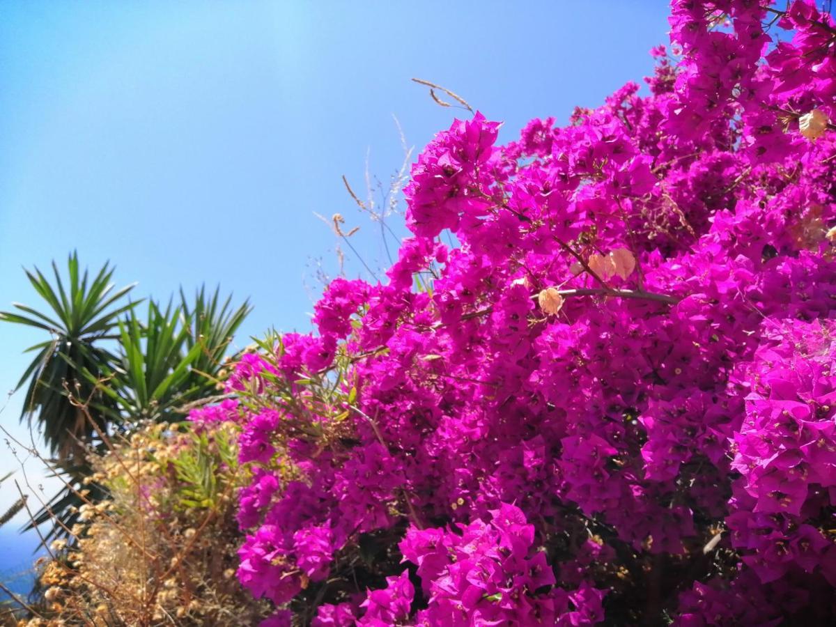 Finca Mariposa Mariposaholidays Nerja Luaran gambar