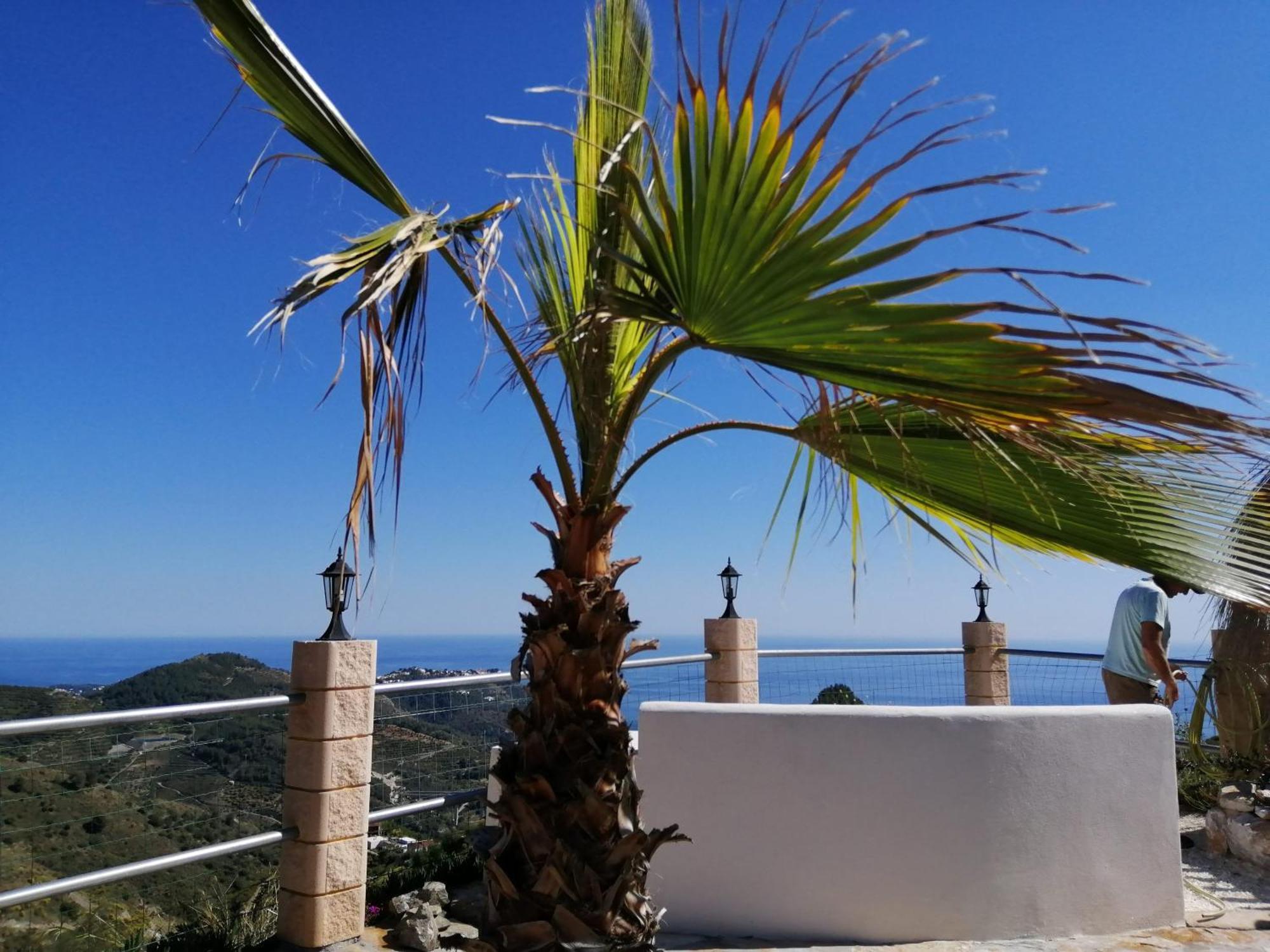 Finca Mariposa Mariposaholidays Nerja Luaran gambar