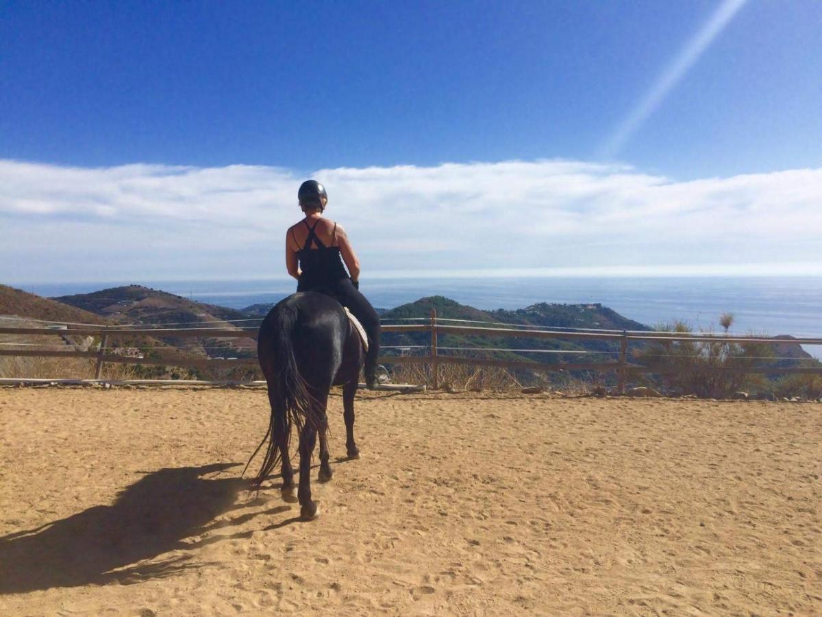 Finca Mariposa Mariposaholidays Nerja Luaran gambar