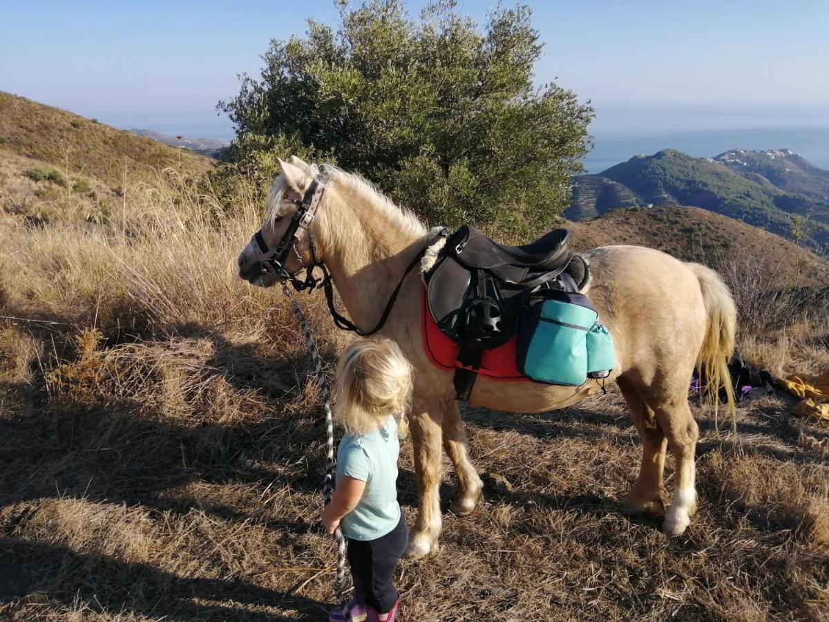 Finca Mariposa Mariposaholidays Nerja Luaran gambar